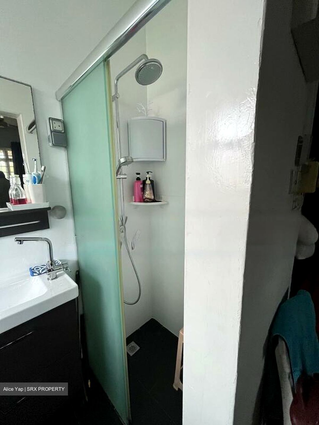 Capitol Park (D11), Semi-Detached #610645941